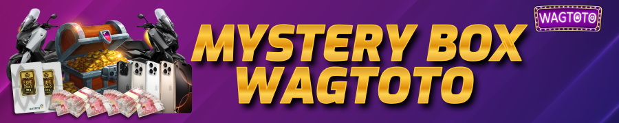 MYSTERY BOX WAGTOTO